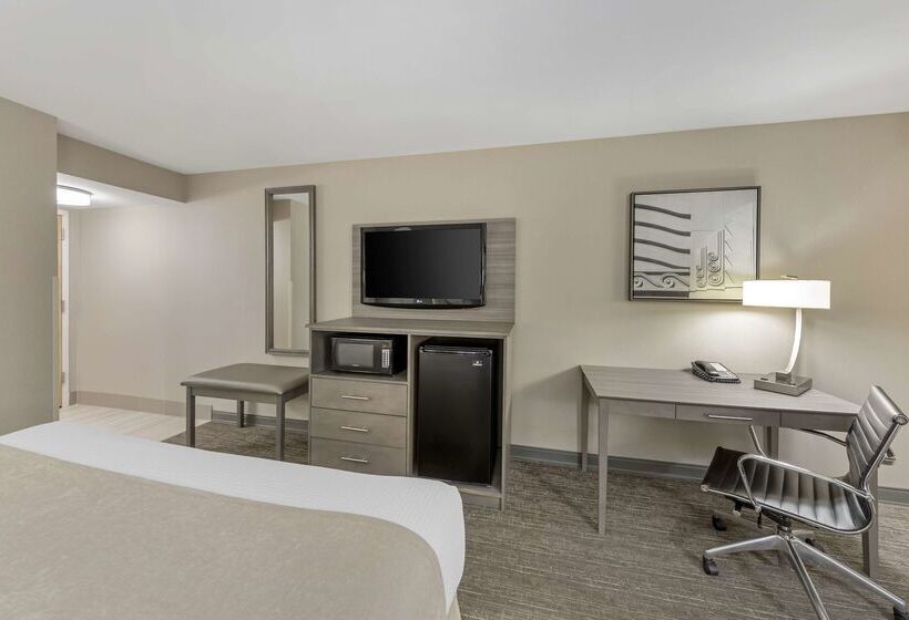 ホテル Best Western Plus Executive Inn