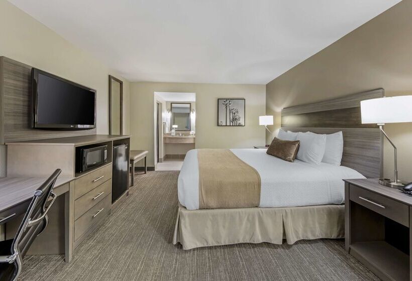 ホテル Best Western Plus Executive Inn