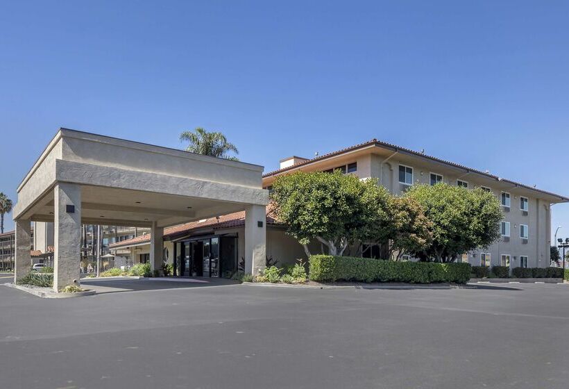 ホテル Best Western Plus Executive Inn