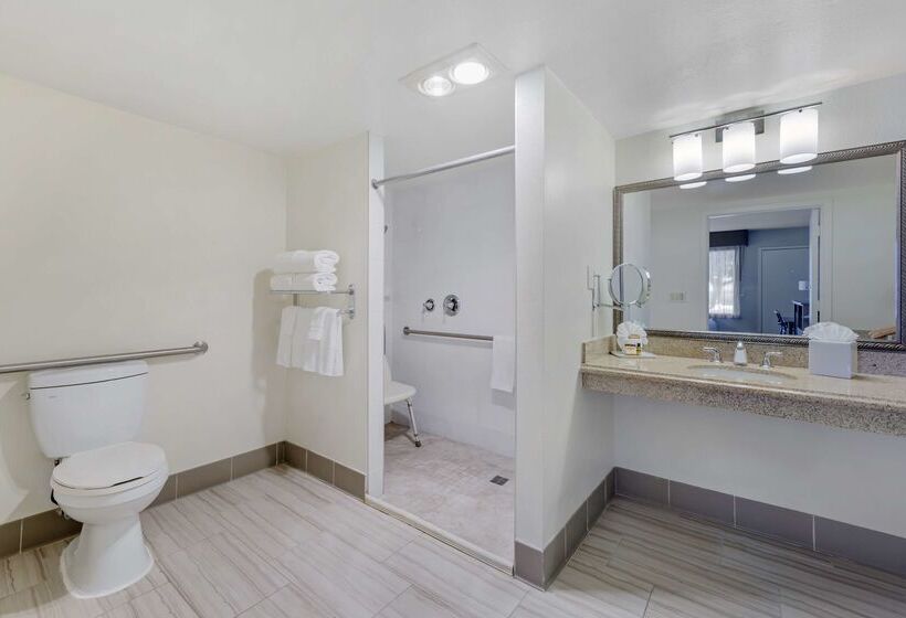 ホテル Best Western Plus Executive Inn