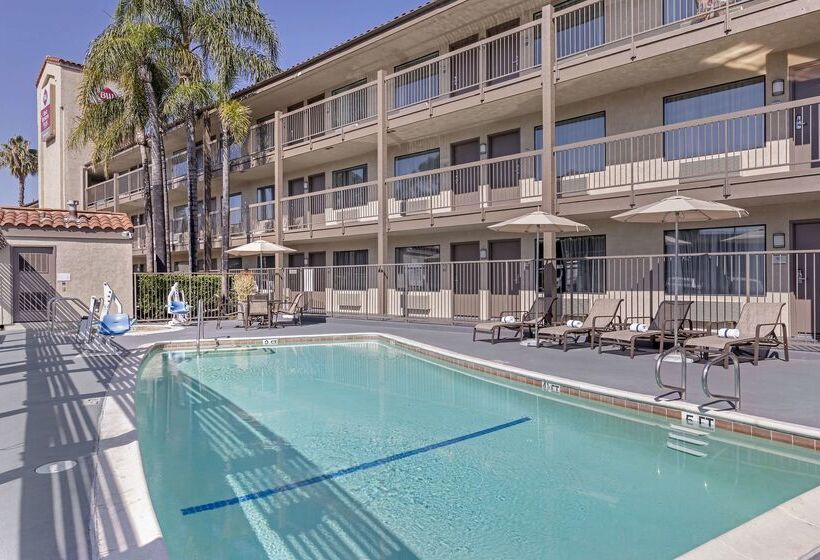 ホテル Best Western Plus Executive Inn