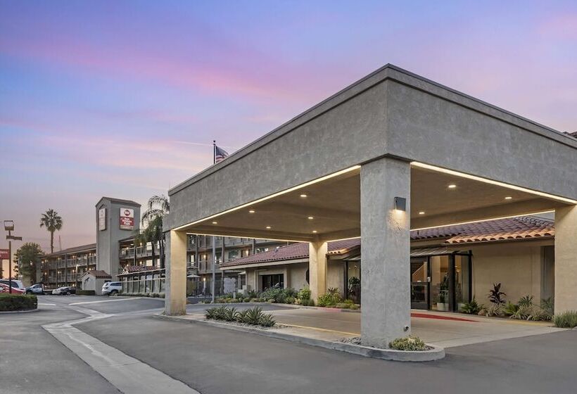 ホテル Best Western Plus Executive Inn