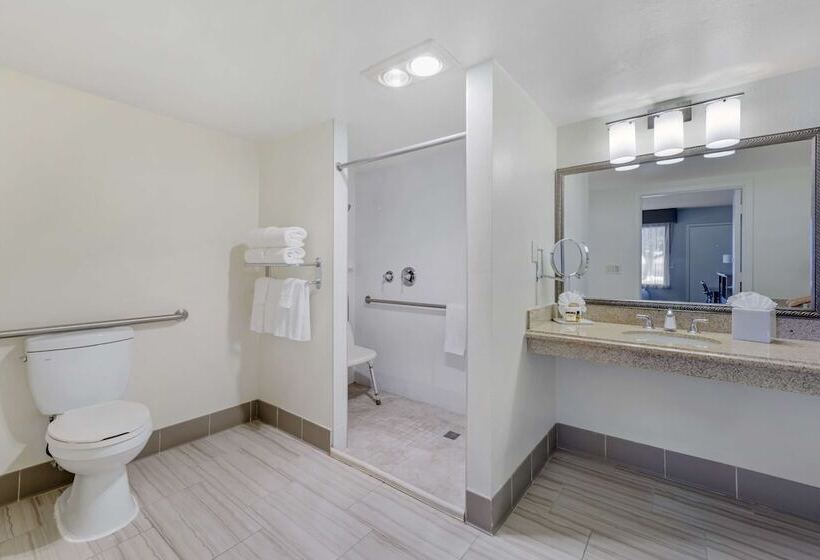 ホテル Best Western Plus Executive Inn