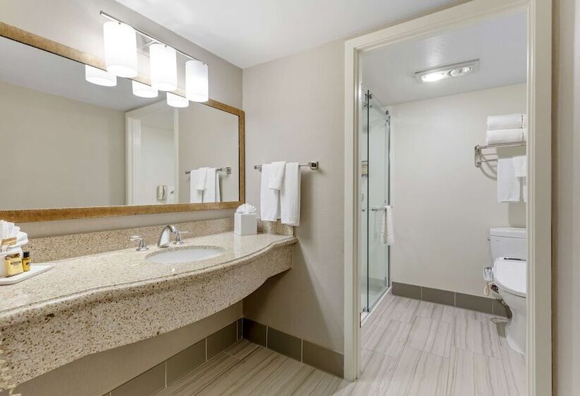 ホテル Best Western Plus Executive Inn