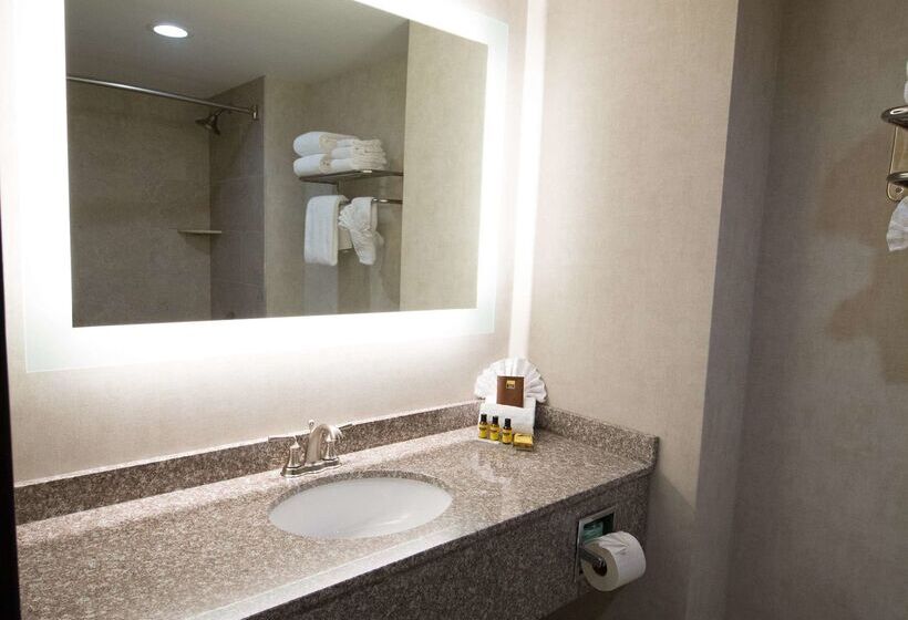 בית מלון כפרי Best Western Plus Fairfield Executive Inn