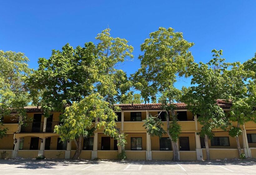 ホテル Best Western Plus Greenwell Inn