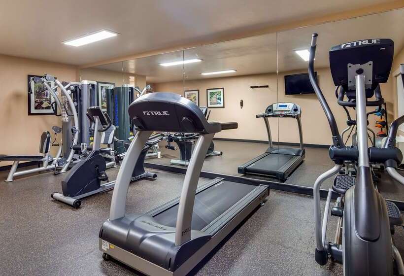 호텔 Best Western Plus Heritage Inn