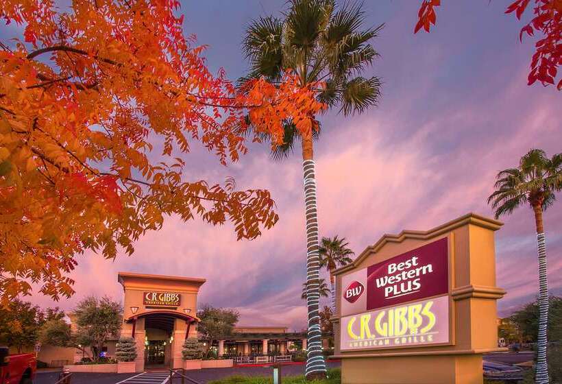 فندق Best Western Plus Hilltop Inn