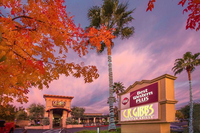 فندق Best Western Plus Hilltop Inn