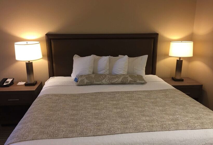 호텔 Best Western Plus Inn Scotts Valley