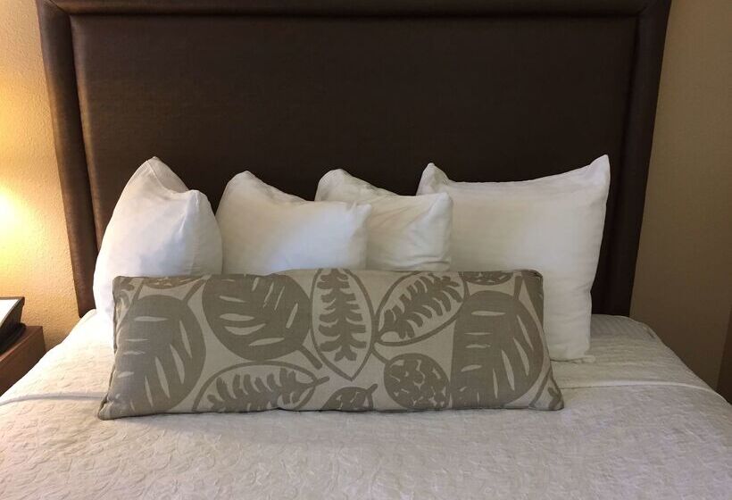 호텔 Best Western Plus Inn Scotts Valley