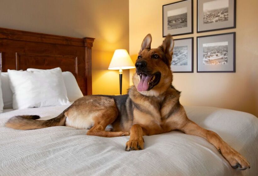 فندق Best Western Plus Kings Inn And Suites