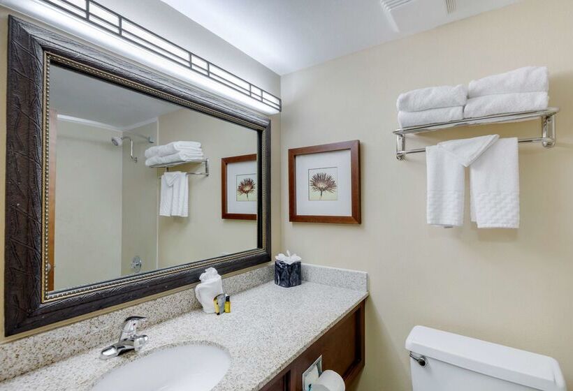 فندق Best Western Plus Loveland Inn