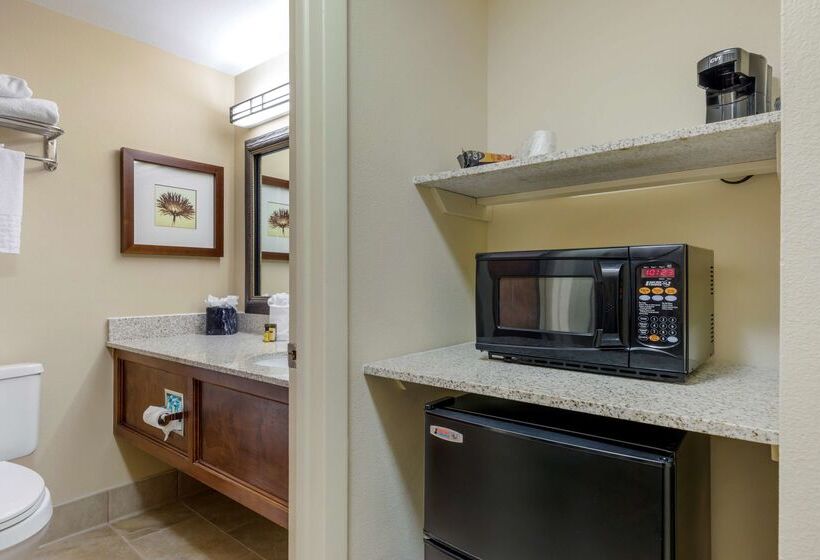 فندق Best Western Plus Loveland Inn