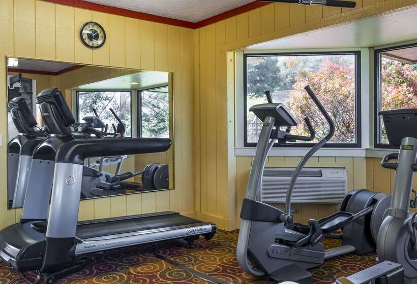 酒店 Best Western Plus Placerville Inn