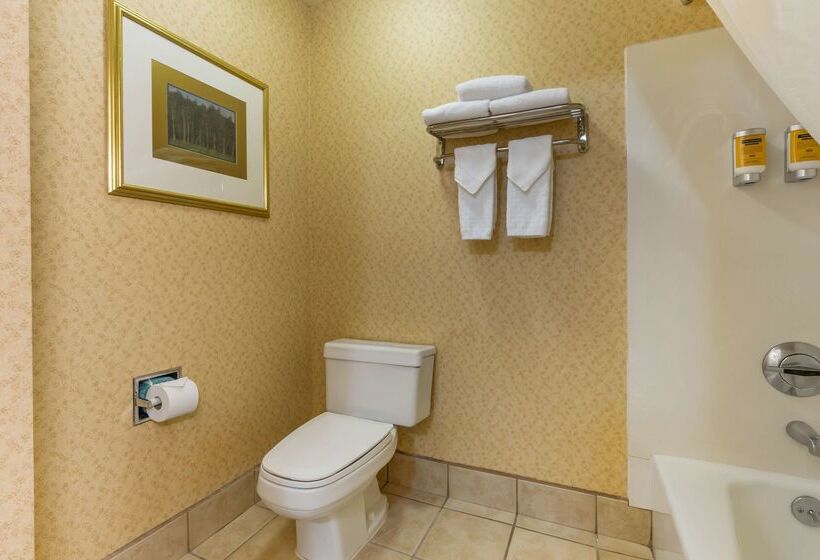 酒店 Best Western Plus Placerville Inn