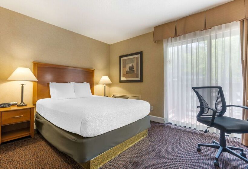 酒店 Best Western Plus Placerville Inn