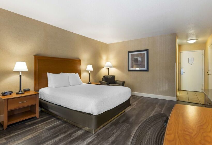 酒店 Best Western Plus Placerville Inn