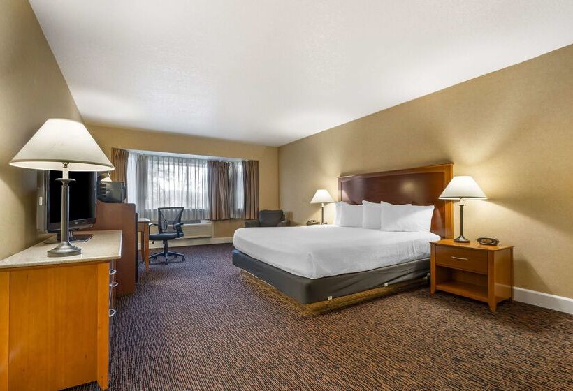 酒店 Best Western Plus Placerville Inn