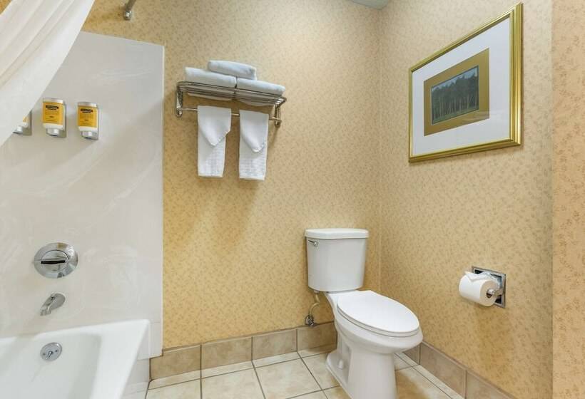 酒店 Best Western Plus Placerville Inn