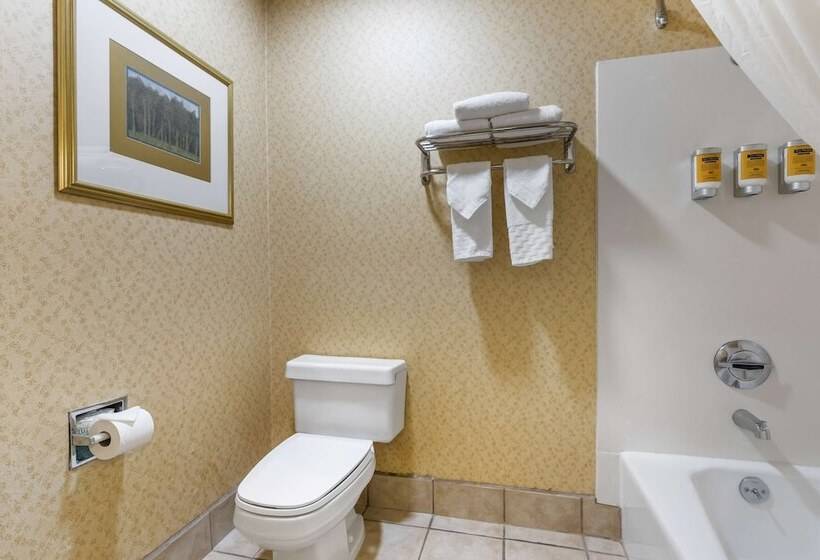 酒店 Best Western Plus Placerville Inn