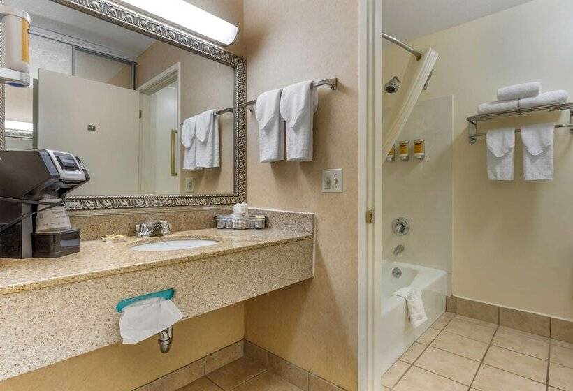 酒店 Best Western Plus Placerville Inn