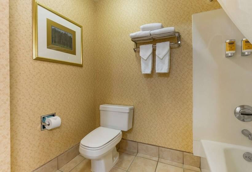 酒店 Best Western Plus Placerville Inn