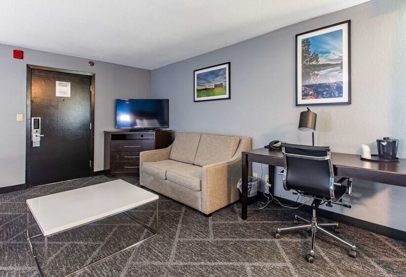 Best Western Rochester Hotel Mayo Clinic Area/ St. Mary S