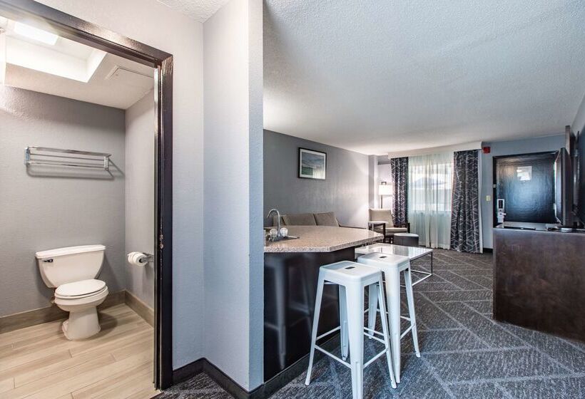 Best Western Rochester Hotel Mayo Clinic Area/ St. Mary S