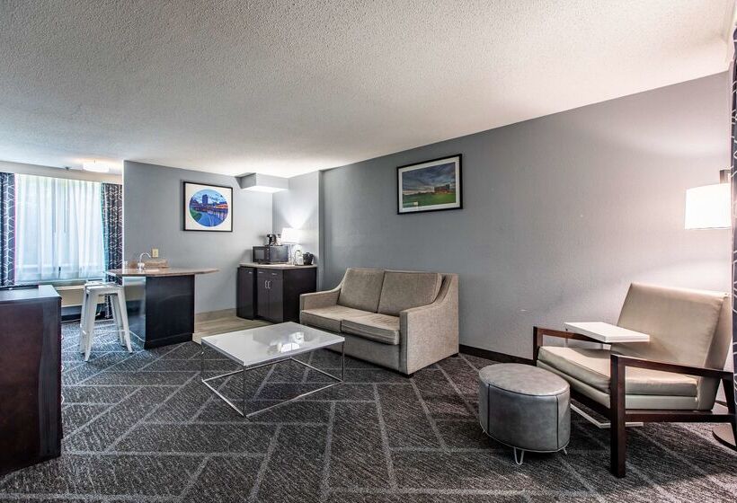 Best Western Rochester Hotel Mayo Clinic Area/ St. Mary S