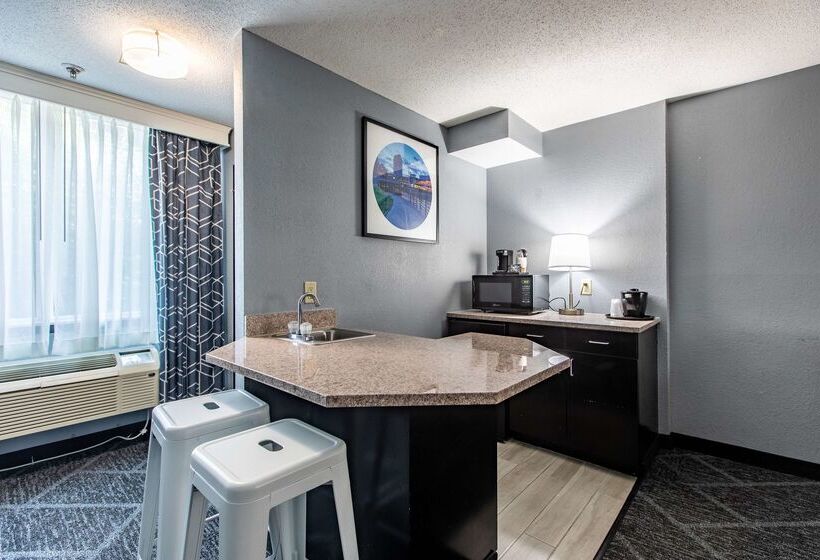 Best Western Rochester Hotel Mayo Clinic Area/ St. Mary S