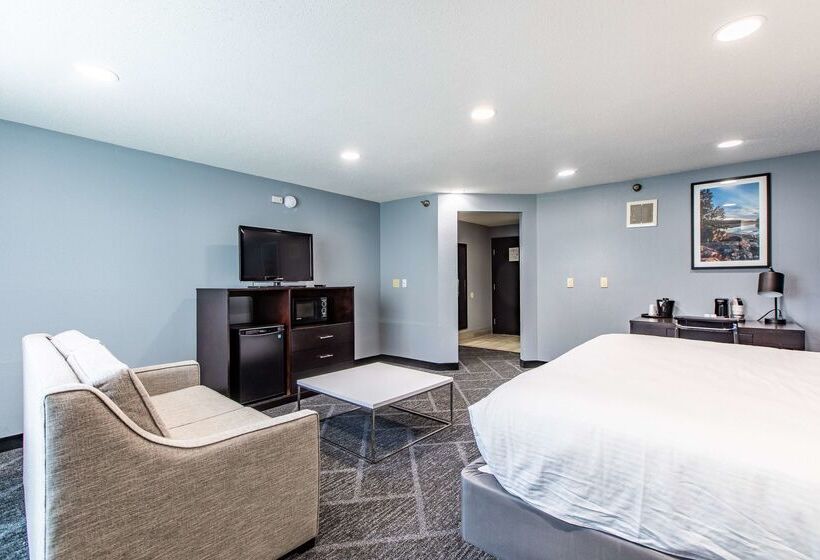 Best Western Rochester Hotel Mayo Clinic Area/ St. Mary S