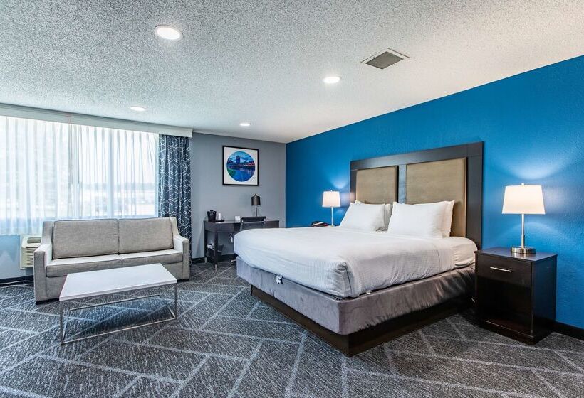 Best Western Rochester Hotel Mayo Clinic Area/ St. Mary S