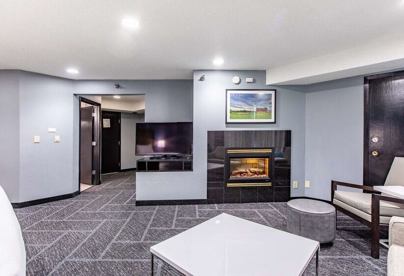 Best Western Rochester Hotel Mayo Clinic Area/ St. Mary S