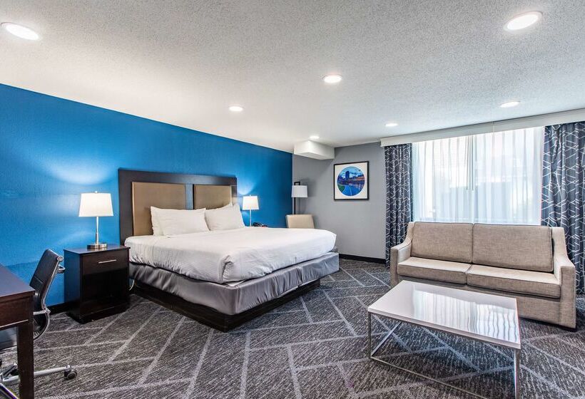 Best Western Rochester Hotel Mayo Clinic Area/ St. Mary S