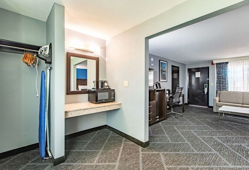 Best Western Rochester Hotel Mayo Clinic Area/ St. Mary S