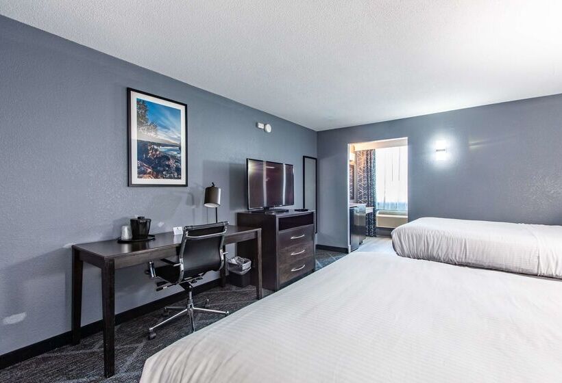 Best Western Rochester Hotel Mayo Clinic Area/ St. Mary S