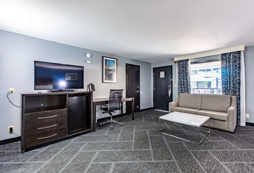 Best Western Rochester Hotel Mayo Clinic Area/ St. Mary S