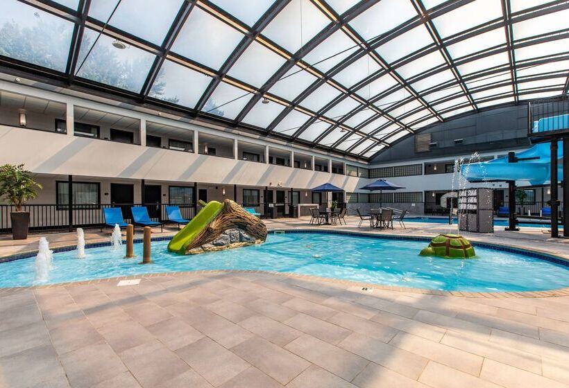 Best Western Rochester Hotel Mayo Clinic Area/ St. Mary S