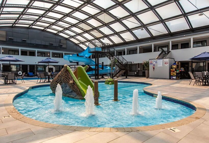 Best Western Rochester Hotel Mayo Clinic Area/ St. Mary S