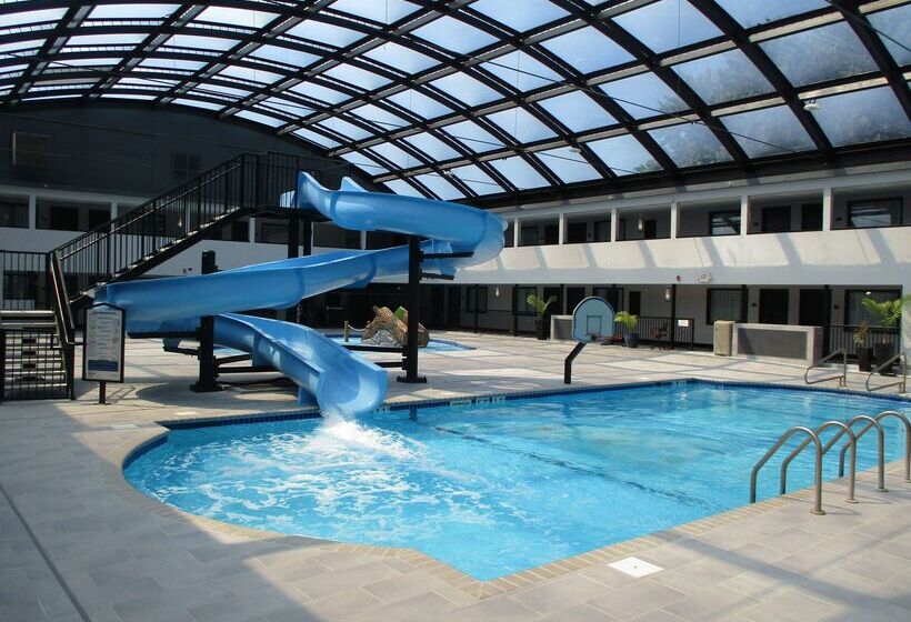 Best Western Rochester Hotel Mayo Clinic Area/ St. Mary S