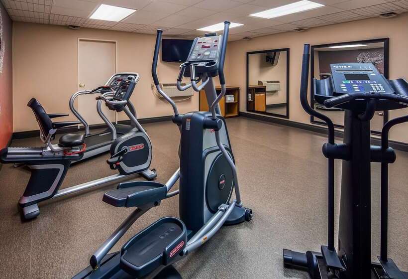 فندق Best Western Sault Ste. Marie