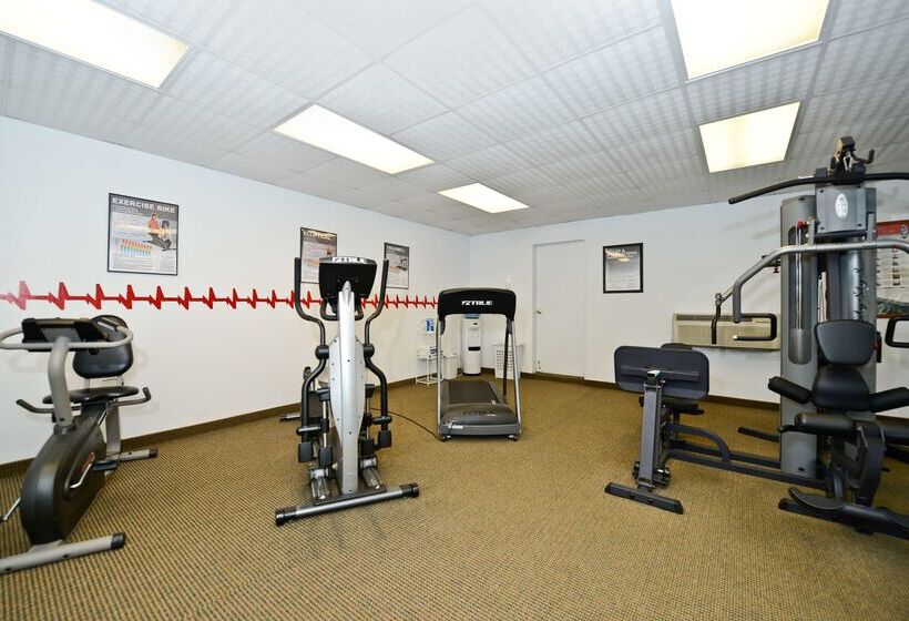 בית מלון כפרי Best Western Sault Ste. Marie