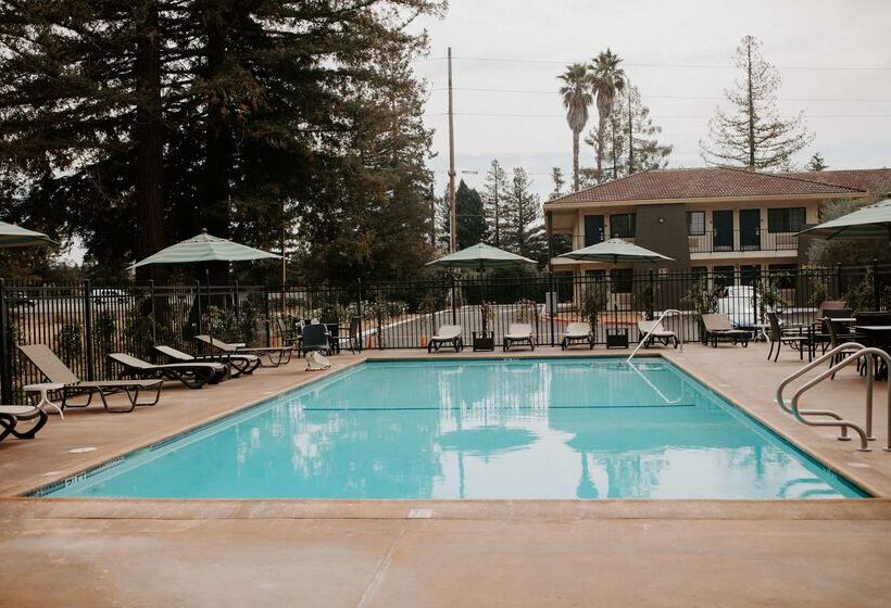 בית מלון כפרי Best Western Sonoma Winegrower's Inn
