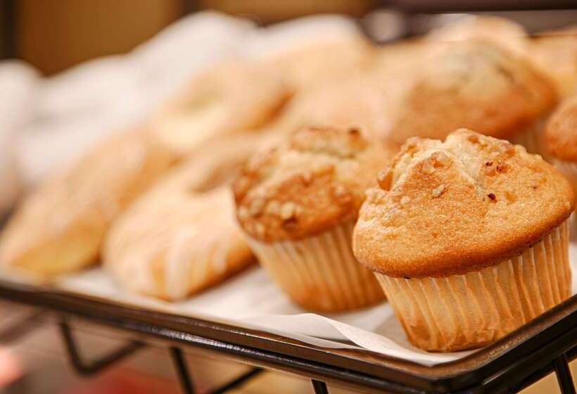 فندق Best Western Starke