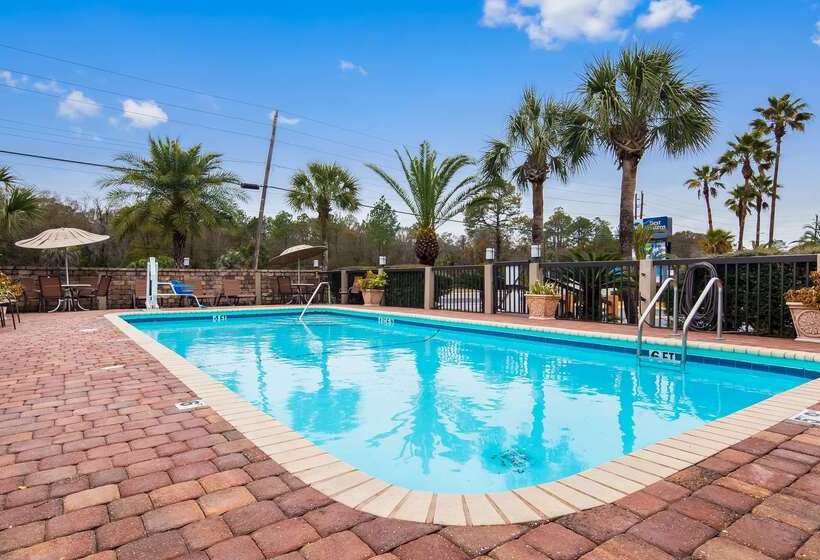 فندق Best Western Starke