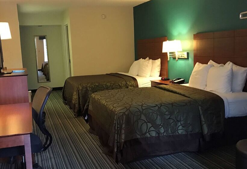 בית מלון כפרי Best Western Tallahasseedowntown Inn And Suites