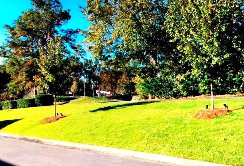 בית מלון כפרי Best Western Tallahasseedowntown Inn And Suites