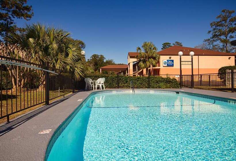 בית מלון כפרי Best Western Tallahasseedowntown Inn And Suites