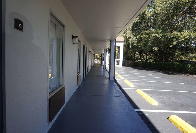 בית מלון כפרי Best Western Tallahasseedowntown Inn And Suites